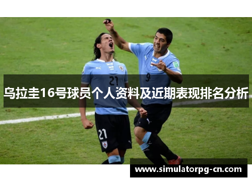 乌拉圭16号球员个人资料及近期表现排名分析