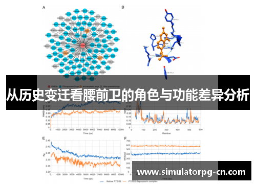 从历史变迁看腰前卫的角色与功能差异分析