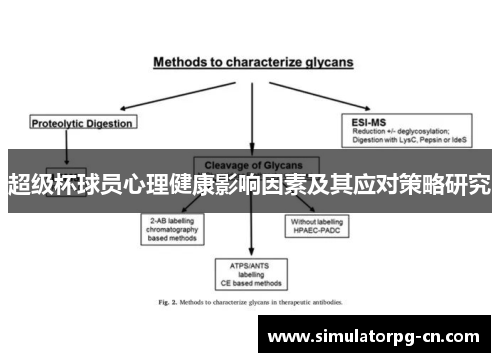 超级杯球员心理健康影响因素及其应对策略研究 超级杯球员心理健康影响因素及其应对策略研究